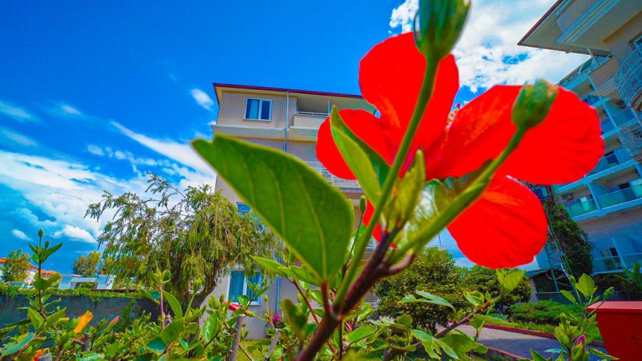 Club Wasa Holiday Village All Inclusive Toslak Bagian luar foto